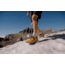 Oboz Katabatic RT Low GTX Hiking Shoes - Mens