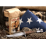 Old Army Coffee Generals Daughter, Ground, OA-GDGC