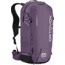 Ortovox Switchback 25 S Backpack, Wild Berry, 4925000002
