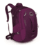 Celeste 29 Pack -Pomegranate Purple