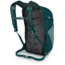 Osprey Daylite Plus Pack, Plants Print Nieve Green, One Size, 10003239