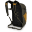 Osprey Daylite Plus Pack, Teakwood Yellow, One Size, 10003236