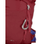 Osprey Jet 18 Backpacks - Kids, Cosmic Red, One Size, 10002389