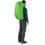 Osprey Kestrel 58 Pack, Picholine Green, Medium/Large, 10001812