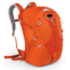 Momentum 30 Pack-Atomic Orange