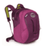 Pogo 24 Pack -Playful Purple