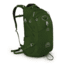 Osprey Quantum Pack-Fern