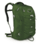 Osprey Quasar Pack-Fern Green