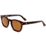 OTIS SUMMER OF 67 Sunglasses, Eco Havana/Brown Polar, 50-21.5-145, 142-2006P
