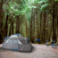 Outbound 8-Person 3-Season Lightweight Dome Tent w/Carry Bag and Rainfly, Blue, CTI0765455