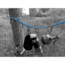 Outdoor Element Charlotte's Web Camp Organizer, 12ft Length, CWCO