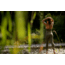 Outdoor Research Vantage Light Support Bra - Womens, Fatigue, Small, 2876500740006