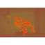 Owlset MCC10 Monocular