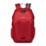 Pacsafe Venturesafe 15L G3 Backpack, Goji Berry, 60540324