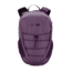 Pacsafe Venturesafe X 12L Anti-Theft Backpack, Plum 60510608