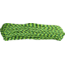 Parachute Cord Gecko, 100 ft RG010H