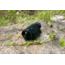 Pard Thermal Imaging 3.5x25mm Monocular, 384x288, 50Hz, Black, TA32-25