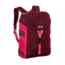 Patagonia Bonsai Pack 14L - Kids-Oxblood Red