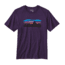 Patagonia Fitz Roy Banner Cotton T-Shirt - Men's -Panther Purple-Small