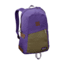 Patagonia Ironwood 20 L Backpack-Concord Purple