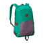 Patagonia Ironwood 20 L Backpack-Emerald