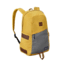 Patagonia Ironwood 20 L Backpack-Nectar Yellow