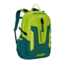 Patagonia Paxat Pack 32L-Peppergrass Green