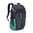Patagonia Petrolia Pack 28L-Smolder Blue
