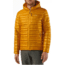 Patagonia Ultralight Down Hoody - Men's-Aztec Yellow-Small