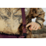 Peak Design Everyday 10 Liters Sling Bag, Eclipse, BEDS-10-EP-3