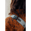 Peak Design Everyday 3 Liters Sling Bag, Ocean, BEDS-3-DS-3