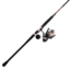 Penn Fishing Passion II Combo, 4.6/1, Right/Left, 5000, 7ft. Rod Length, Medium Heavy Power, Fast Action, 1 Piece Rod, Black/Rose Gold, PASII5000701MH
