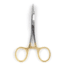 Perfect Hatch Stainless Steel Forceps Scissor, 6in, Gold, PH-A-SFS-G06