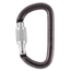 Petzl Am'D Carabiner, Gray, Screw-Lock, M34A SL