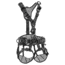 Petzl Astro International Harness, Black, 0, C083BB03