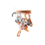 Petzl Fly Harnesses, Medium, C002BA01