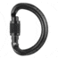 Petzl Omni Screw-Lock Carabiner Black M37 SLN