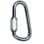 Petzl Speedy Anchor Screw Link 7mm P14