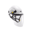 Petzl Vizen Face Shield, Old, One Size, A014AA00