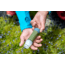 Platypus Quick Draw Filter, Green, 13852