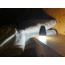 PowerTraveller Nightjar 150 Lumen Torch, Black, One Size, PTL-NJL008