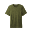 prAna Hardesty Short Sleeve Mens, Fern Green Stripe, Small, M11170402-FEGS-S