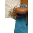 prAna Stimmersee Shirt Slim Fit - Mens, Aura Glow Retro Geo, L, 1970111-801-SL-L