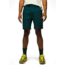 prAna Stretch Zion Short II 10in Inseam - Mens, Wilderness, 40, 1969751-303-10-40