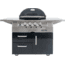 Primo Ceramic Grills Oval X-Large Gas Grill, 21,000 Btu, Cart-Mounted, PGGXLC