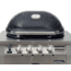 Primo Ceramic Grills Oval X-Large Gas Grill, 21,000 Btu, Cart-Mounted, PGGXLC