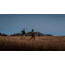 Princeton Tec Remix 300 Lumens Headlamp, Black/Dark Gray, RMX21-BK/DK