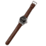 ProTek 3100 Titainum USMC Field Watch