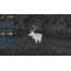 Pulsar Axion Compact XG35 2.5-20x35mm Thermal Monocular, 640x480, Black, PL77509