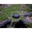 OpticsPlanet Exclusive Refurbished, Pulsar Axion Key XM30 2.5-10x24 Thermal Monocular, 320x240, Black, PL77425